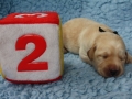 11