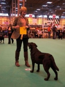 Crufts  Jillma