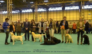 Crufts nederlands team 482850_299913266803228_1214161993_n NEDT