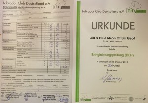 bestand-06-11-16-12-24-05